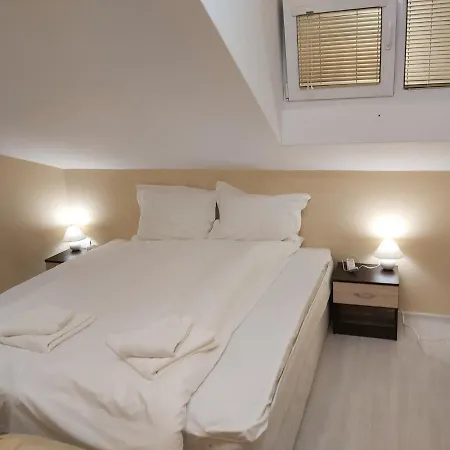 Guest Exotic 3* 파자르지크